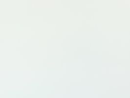 Ресторе белая звезда